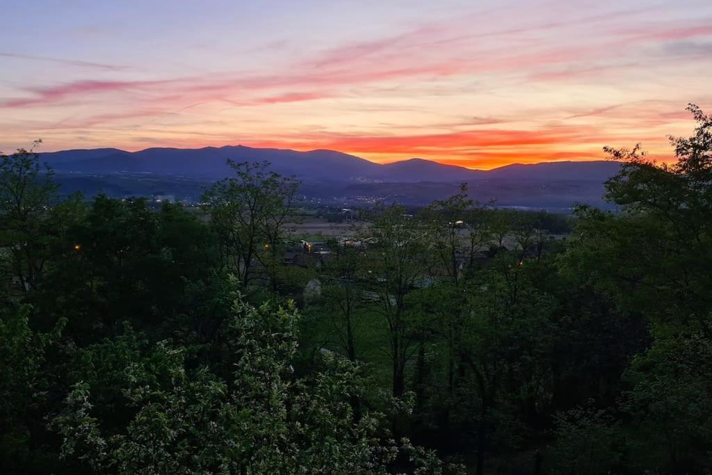 Gite De 70M² Avec Vue Sur Le Massif Du Pilat Clonas-sur-Vareze 外观 照片