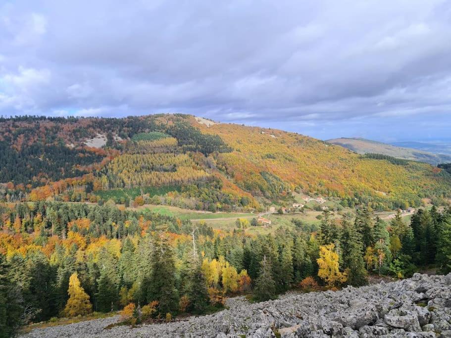 Gite De 70M² Avec Vue Sur Le Massif Du Pilat Clonas-sur-Vareze 外观 照片