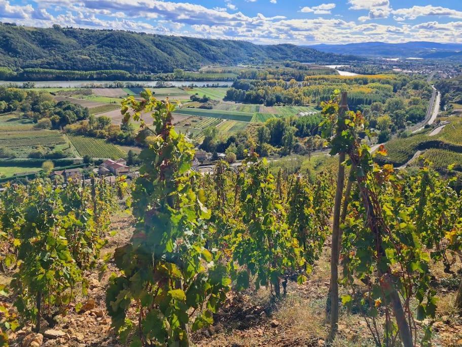 Gite De 70M² Avec Vue Sur Le Massif Du Pilat Clonas-sur-Vareze 外观 照片