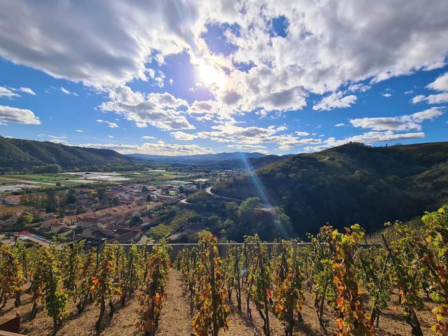 Gite De 70M² Avec Vue Sur Le Massif Du Pilat Clonas-sur-Vareze 外观 照片