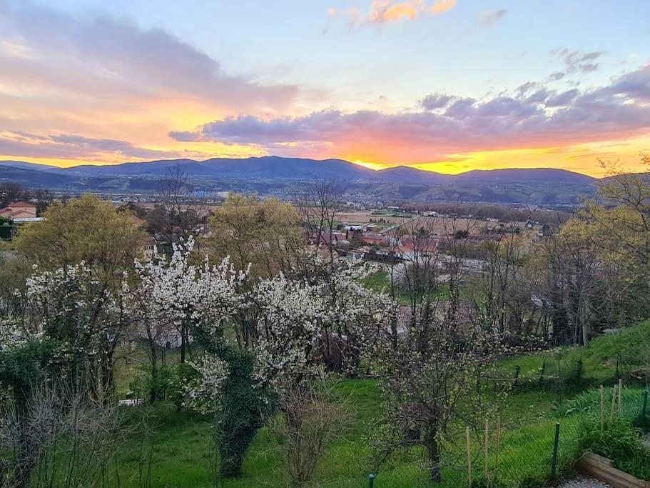 Gite De 70M² Avec Vue Sur Le Massif Du Pilat Clonas-sur-Vareze 外观 照片